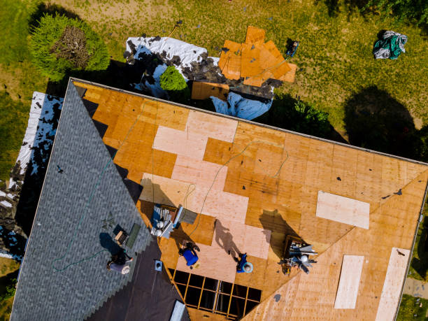 Best Metal Roofing Contractor  in Fort Polk South, LA